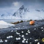 Fotoreise Lofoten - Nordlichter fotografieren
