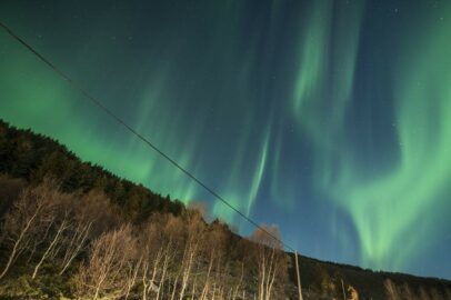 Bild von Manolo Franco auf Pixabay Aurora