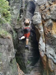 Kletterstieg in der Saechsischen Schweiz scaled