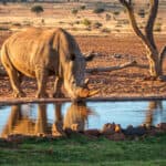 Fragen und Antworten (FAQ) Namibia Fotoreisen
