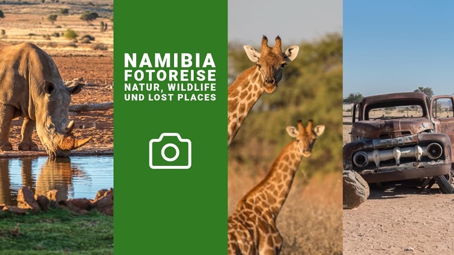Namibia Fotoreise-Wildlife