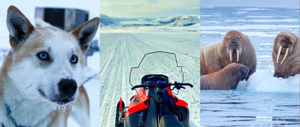 Husky-Tour-Barentsburg