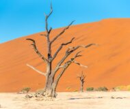 Namibia-Sehenswürdigkeiten