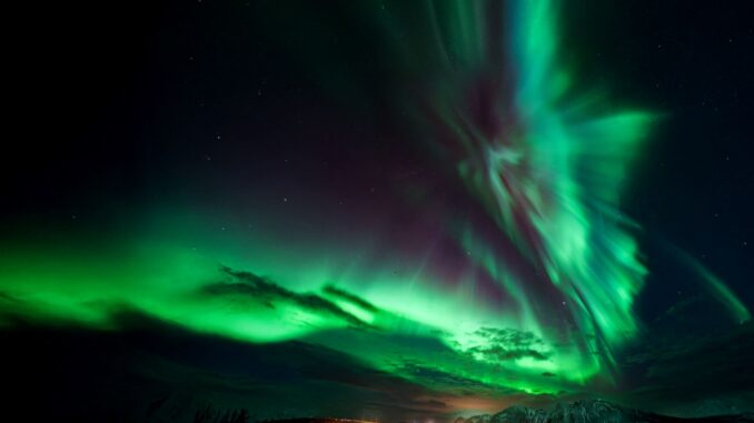 Lofoten-Polarlichter-Foto-2025