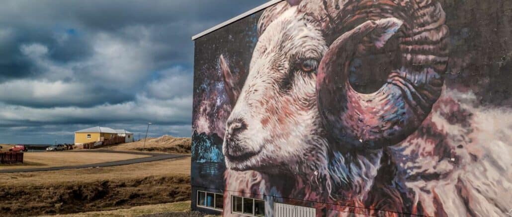Schaf-Mural-Hafnarfjördur-Island